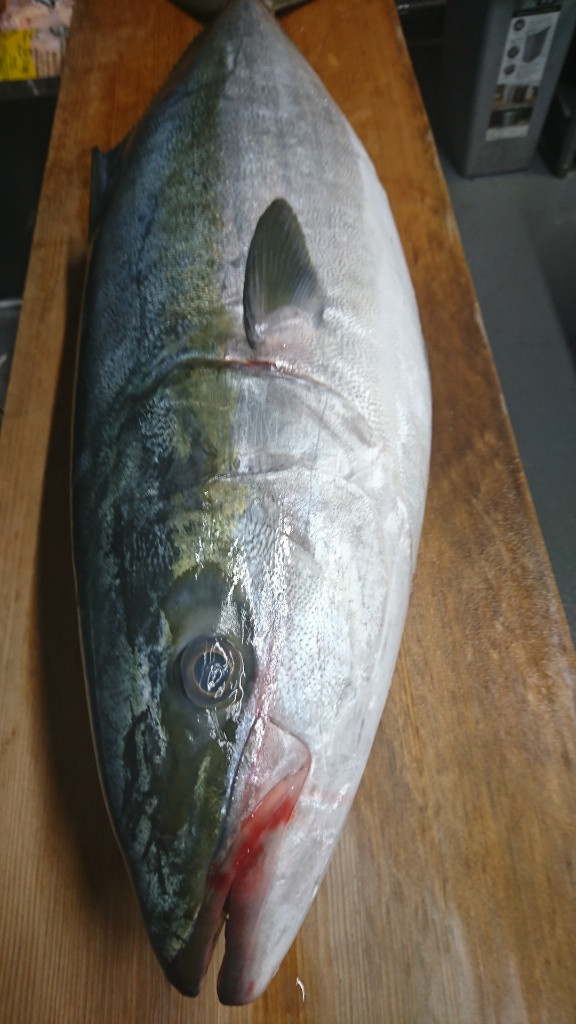 美味しい照り焼きを食べるならてりやき屋へ!!